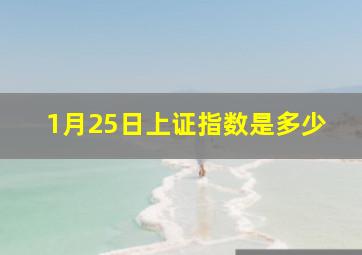 1月25日上证指数是多少