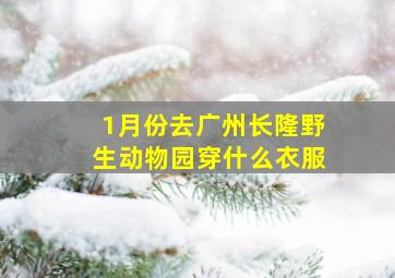 1月份去广州长隆野生动物园穿什么衣服