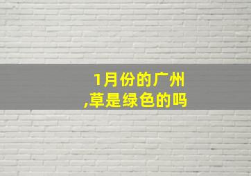 1月份的广州,草是绿色的吗