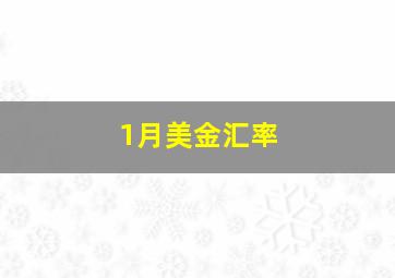 1月美金汇率