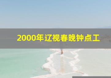 2000年辽视春晚钟点工