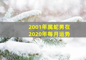 2001年属蛇男在2020年每月运势