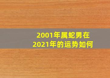 2001年属蛇男在2021年的运势如何