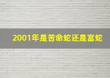 2001年是苦命蛇还是富蛇