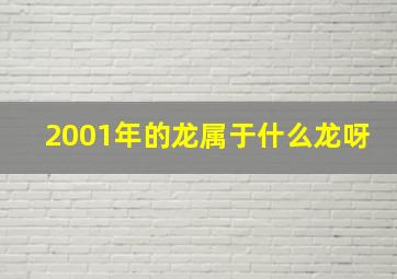 2001年的龙属于什么龙呀