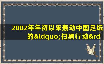 2002年年初以来轰动中国足坛的“扫黑行动”