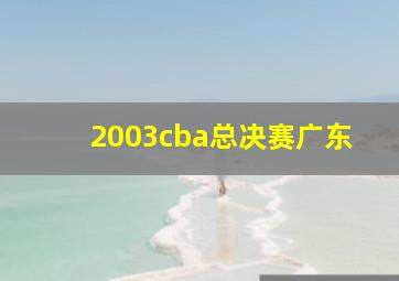 2003cba总决赛广东