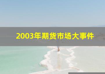 2003年期货市场大事件