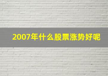 2007年什么股票涨势好呢