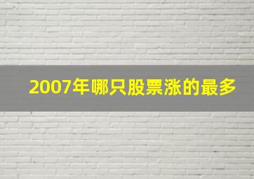 2007年哪只股票涨的最多