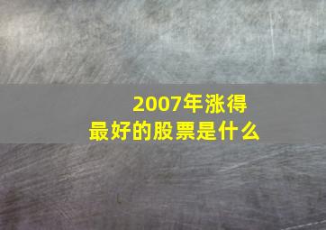 2007年涨得最好的股票是什么