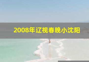 2008年辽视春晚小沈阳