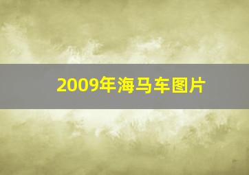 2009年海马车图片