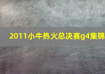 2011小牛热火总决赛g4集锦