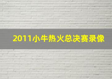 2011小牛热火总决赛录像