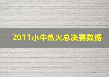 2011小牛热火总决赛数据