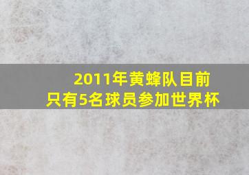 2011年黄蜂队目前只有5名球员参加世界杯