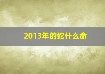 2013年的蛇什么命