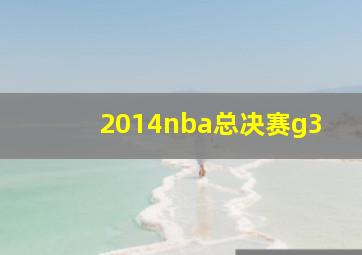 2014nba总决赛g3