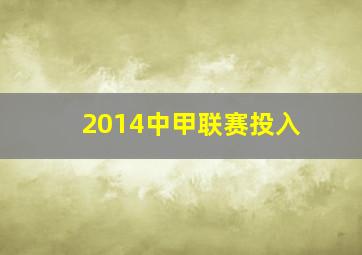 2014中甲联赛投入