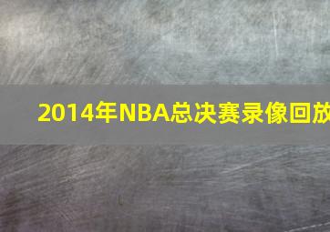 2014年NBA总决赛录像回放