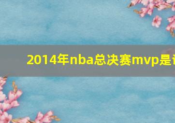 2014年nba总决赛mvp是谁