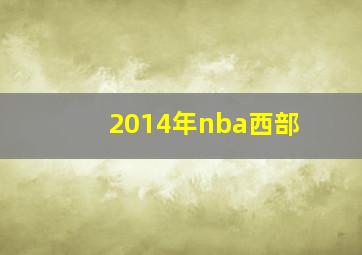 2014年nba西部