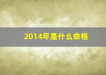 2014年是什么命格