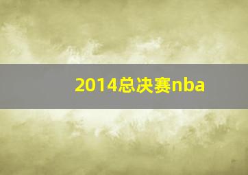 2014总决赛nba