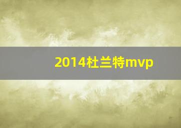 2014杜兰特mvp