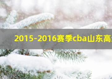 2015-2016赛季cba山东高速