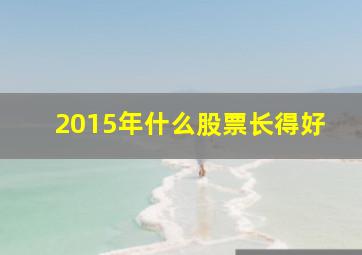 2015年什么股票长得好