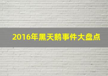 2016年黑天鹅事件大盘点