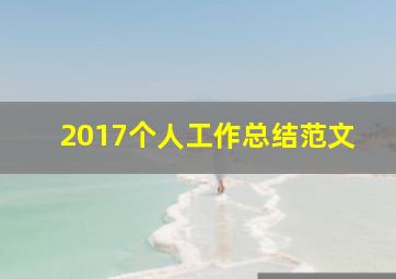 2017个人工作总结范文