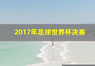 2017年足球世界杯决赛