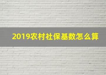 2019农村社保基数怎么算