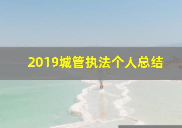 2019城管执法个人总结