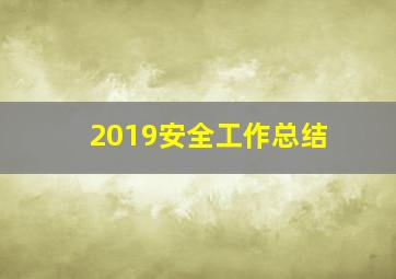 2019安全工作总结