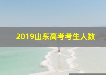 2019山东高考考生人数