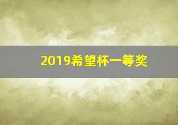 2019希望杯一等奖