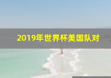 2019年世界杯美国队对