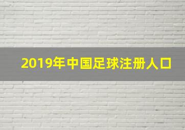 2019年中国足球注册人口