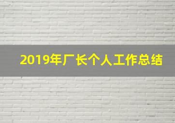 2019年厂长个人工作总结