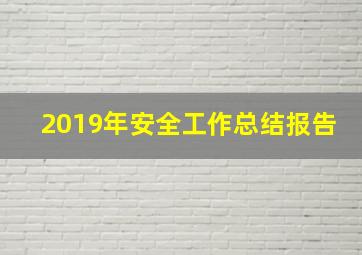 2019年安全工作总结报告