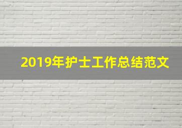 2019年护士工作总结范文