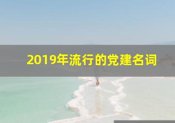 2019年流行的党建名词