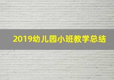 2019幼儿园小班教学总结