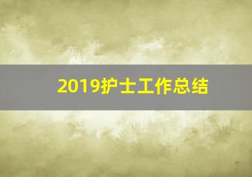 2019护士工作总结