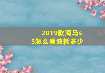 2019款海马s5怎么看油耗多少