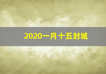 2020一月十五封城